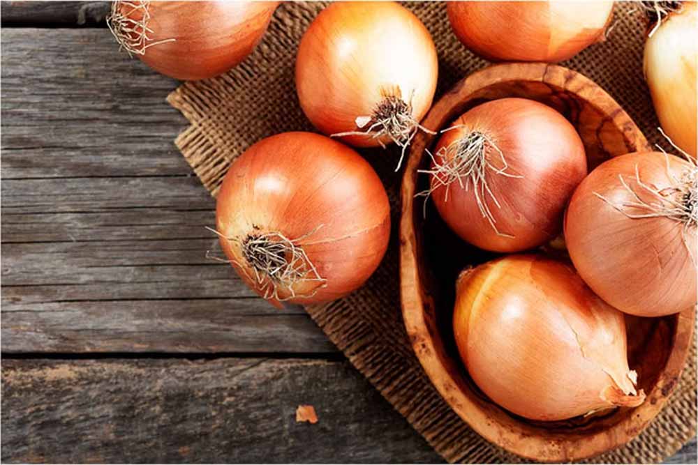 हर रसोई की जान प्याज: औषधीय गुणों से भरपूर सुपरफूड