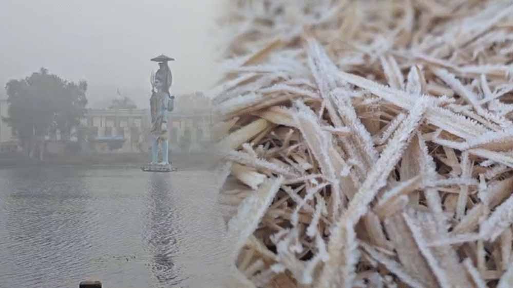 छत्तीसगढ़ मौसम अपडेट: कोहरे और धुंध से सतर्कता, तापमान में तेज गिरावट की संभावना