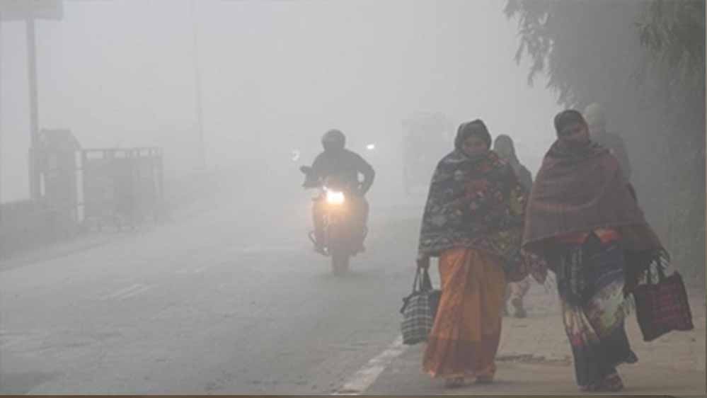 ठंड ने बढ़ाई मुसीबत, राजगढ़ में 3°C तक पहुंचा पारा, सतना में धुंध से मात्र 50 मीटर दिखा रास्ता