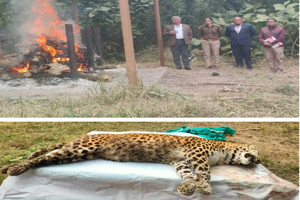 उम्र पूरी होने का दावा, लेकिन निगरानी पर सवाल: मुकुंदपुर जू सेंटर में तेंदुआ की मौत