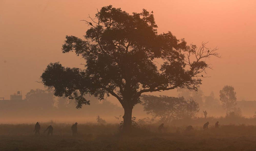 एमपी में शीतलहर का प्रकोप, उमरिया में तापमान का 10 साल का रिकॉर्ड टूटा; भोपाल, इंदौर, ग्वालियर में स्कूल बंद