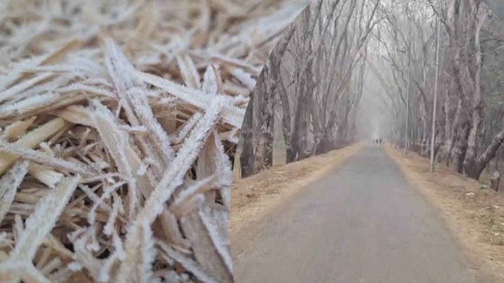 छत्तीसगढ़ में शीतलहर का असर, 18 जिलों में अलर्ट – अंबिकापुर में पारा 3.5°C, तापमान और गिरने की संभावना