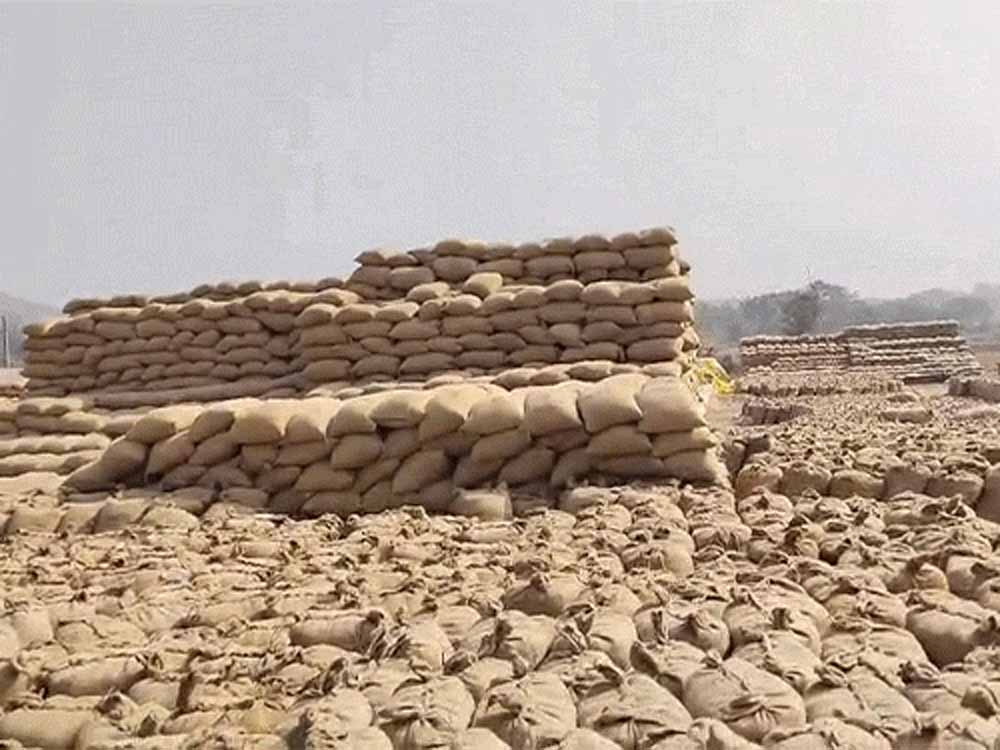 जशपुर के खरीदी केंद्र का फड़ प्रभारी अरेस्ट, 7 करोड़ की 20,586 क्विंटल धान गायब