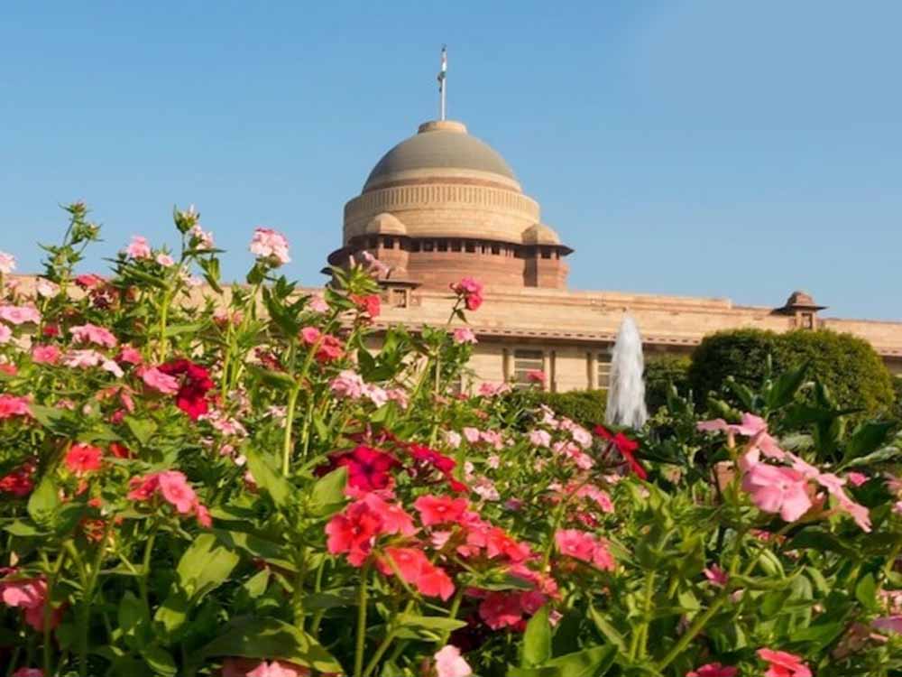 अमृत उद्यान अब जनता के लिए खुला — टिकट दाम, समय सारिणी और विजिट गाइड लाइव