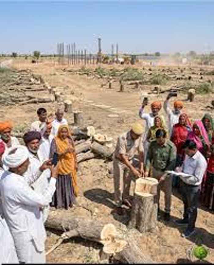 खेजड़ी बचाने सड़क पर उतरे लोग, 2 फरवरी को बीकानेर में बड़ा महापड़ाव