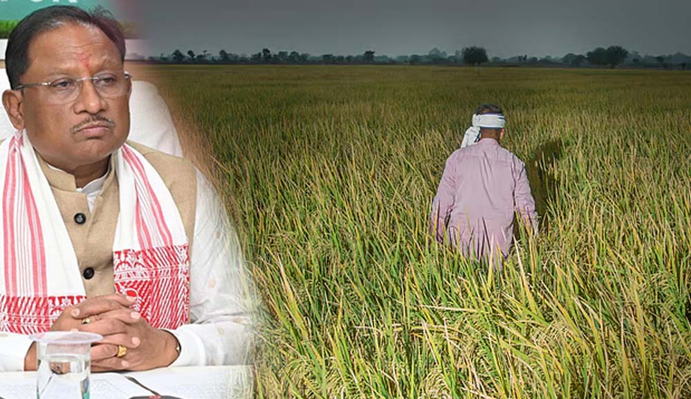 छत्तीसगढ़ सरकार का किसानों को तोहफा: 1.5 लाख रुपये तक की योजना, आवेदन का आसान तरीका