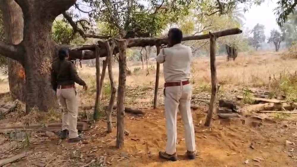 सागौन तस्करों पर शिकंजा, वन विभाग ने दो ठिकानों से 5 लाख से अधिक की लकड़ी की जब्ती