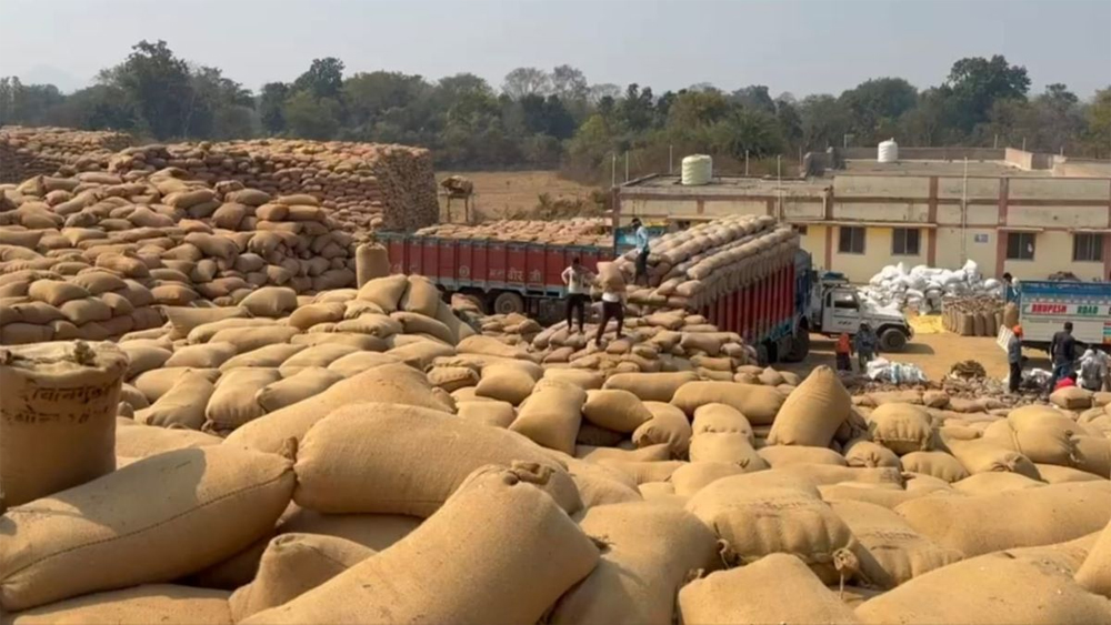 धान उठाव में लापरवाही बर्दाश्त नहीं: शासन की सख्ती, मार्कफेड DMO किशोर चंद्रा पद से हटे
