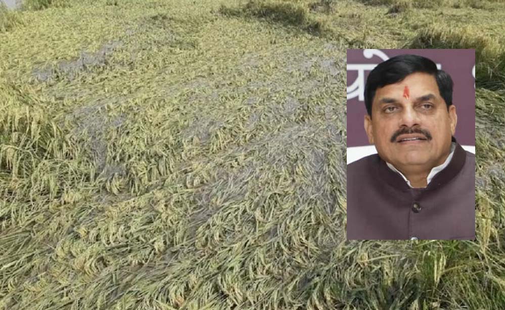 एमपी में बारिश से 25 जिलों की फसलें बर्बाद, सीएम मोहन ने राहत कार्यों के लिए दिए खास निर्देश