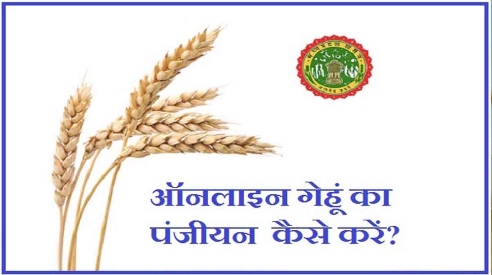 4.42 लाख से ज्यादा किसानों ने गेहूँ उपार्जन के लिए समर्थन मूल्य पर पंजीकरण करवाया