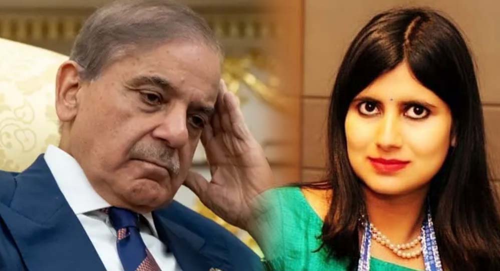 भारत ने पाकिस्तान की नीतियों पर खोली मोहर, कश्मीर बजट का किया जोरदार मुकाबला