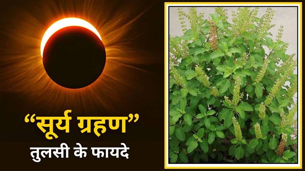 ग्रहण काल में तुलसी दल व गंगाजल का प्रयोग क्यों किया जाता है? आस्था और विज्ञान का रहस्य