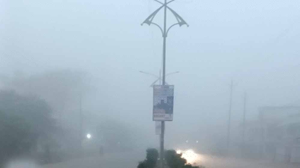 एमपी का सफर प्रभावित, घने कोहरे से विजिबिलिटी कम, 12+ ट्रेनें लेट और शाजापुर में हादसे में जान गई
