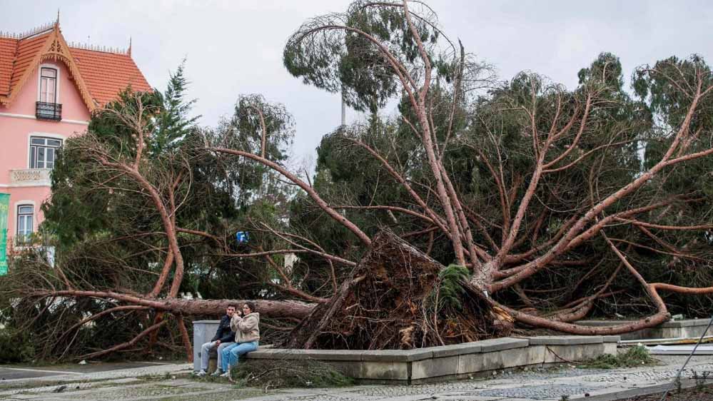 200 KMPH का बवंडर और 95 किलोमीटर रफ्तार का तूफान, मूसलधार बारिश से पुर्तगाल में 11 लोगों की मौत