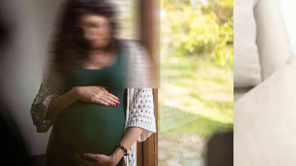 हाईकोर्ट में आर्मी जवान का तलाक केस, पत्नी की प्रेगनेंसी पर सवाल, 4 दिन में कैसे हो गई गर्भवती?