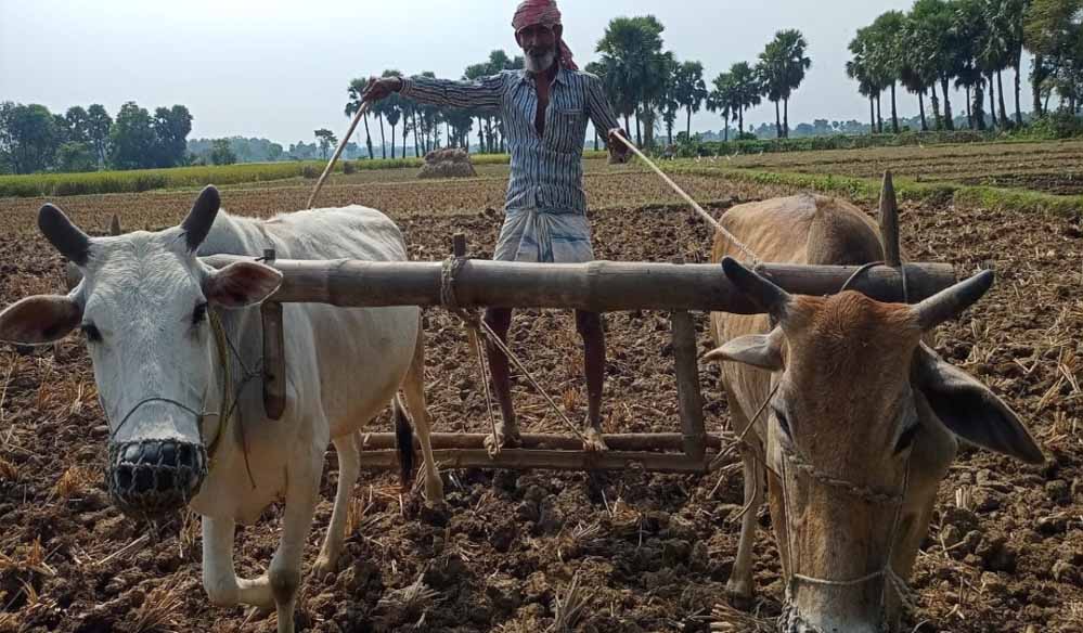 ‘जहर मुक्त खेती’ के लिए एमपी में महायज्ञ, पहली बार देशभर के किसान होंगे एकत्रित