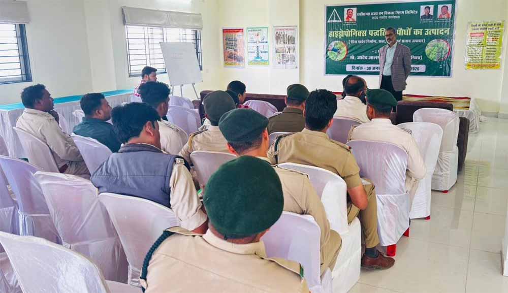 कम जगह, ज्यादा उत्पादन: हाइड्रोपोनिक्स से टेरेस गार्डन को बढ़ावा