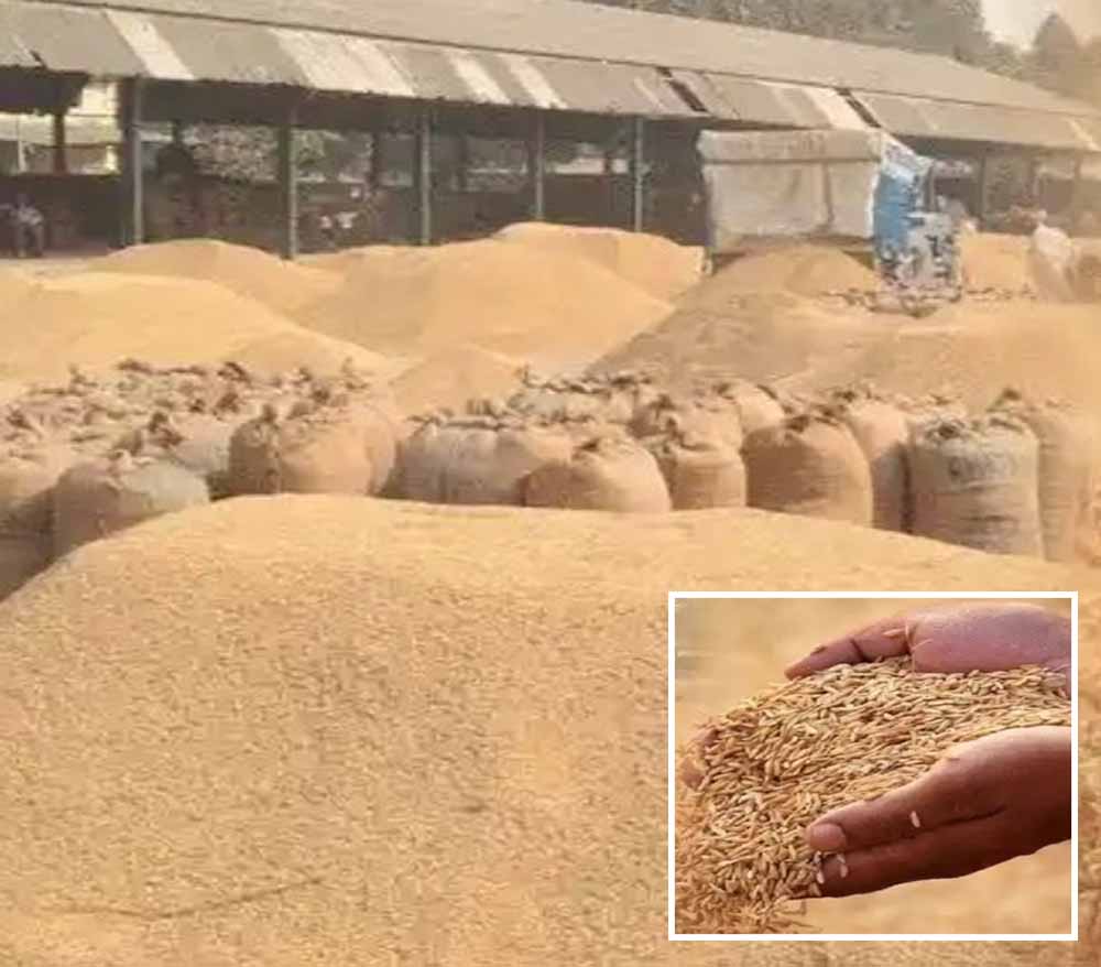 धान खरीदी तिथि दो दिन और बढ़ाई, 550 किसानों को फिर मिला धान बेचने का मौका