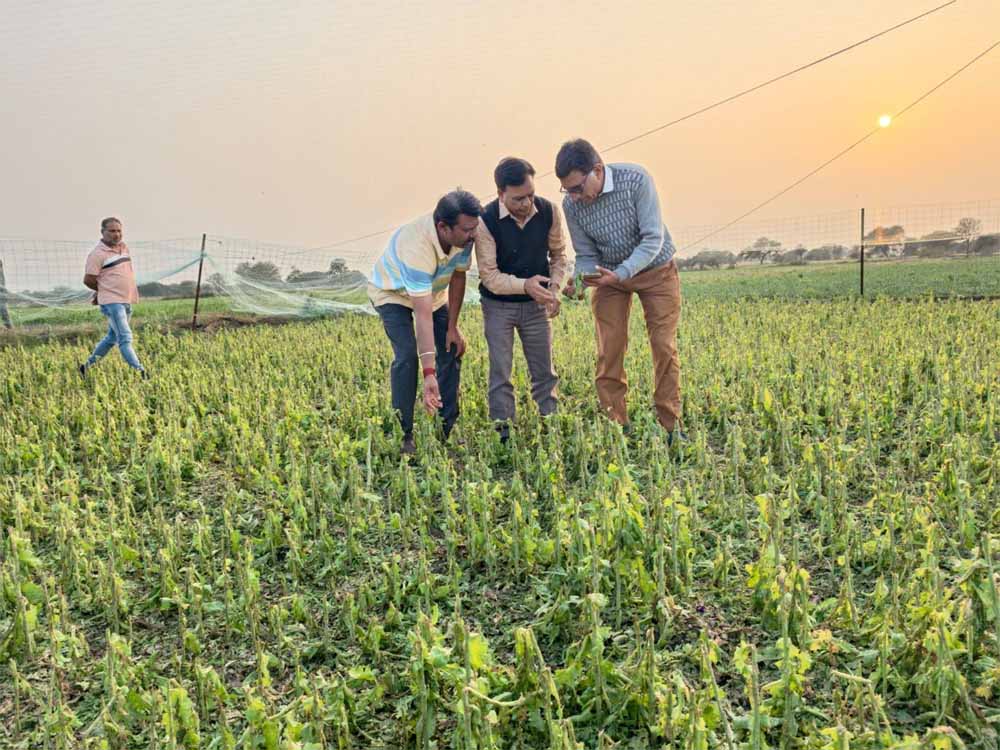 खराब हुई फसलों के किसानों की जल्द ही मिलेगी राहत