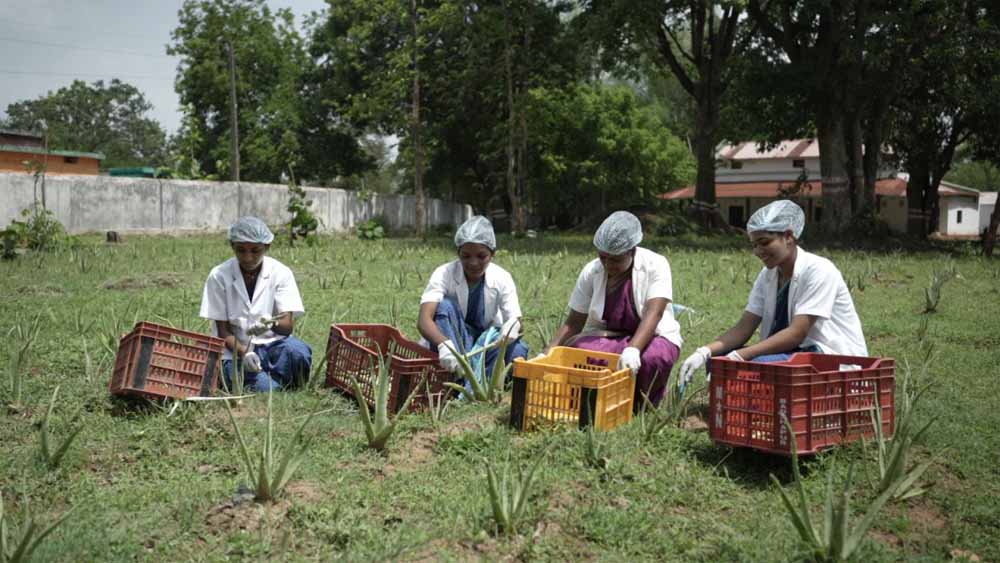 आदिवासी उद्यमिता की मिसाल: एलोवेरा पर्सनल केयर उत्पादों से उभरा दुगली का वन धन केंद्र