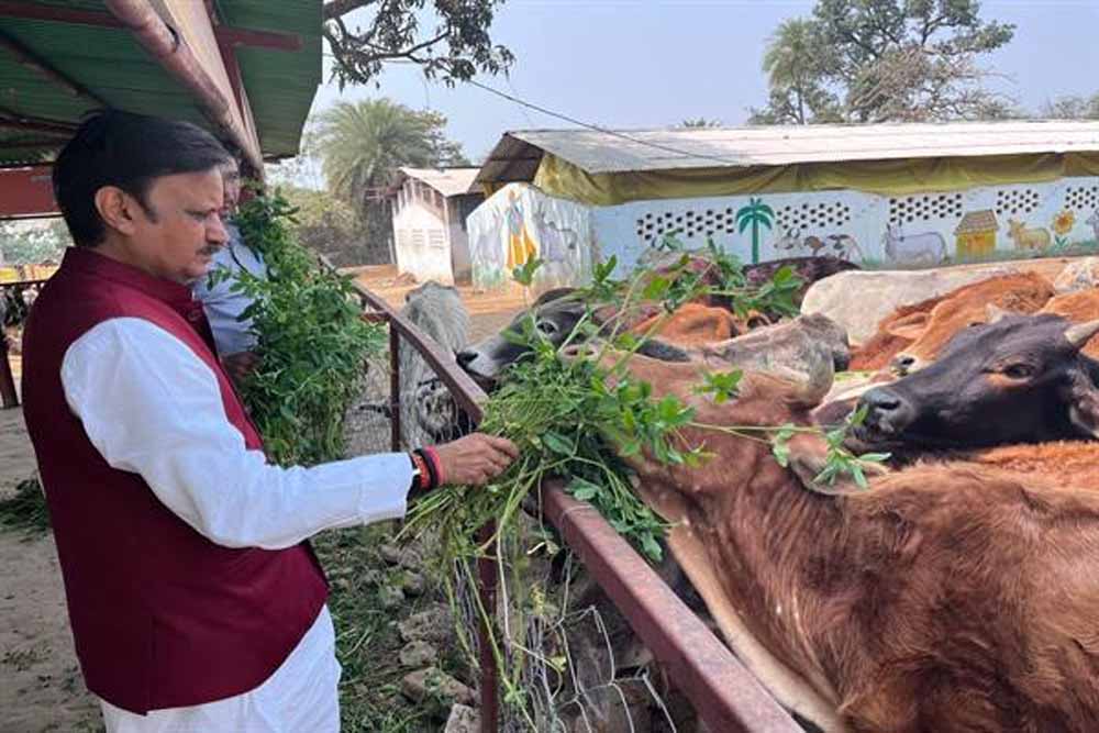 उप मुख्यमंत्री शुक्ल ने लक्ष्मणबाग गौशाला का किया भ्रमण