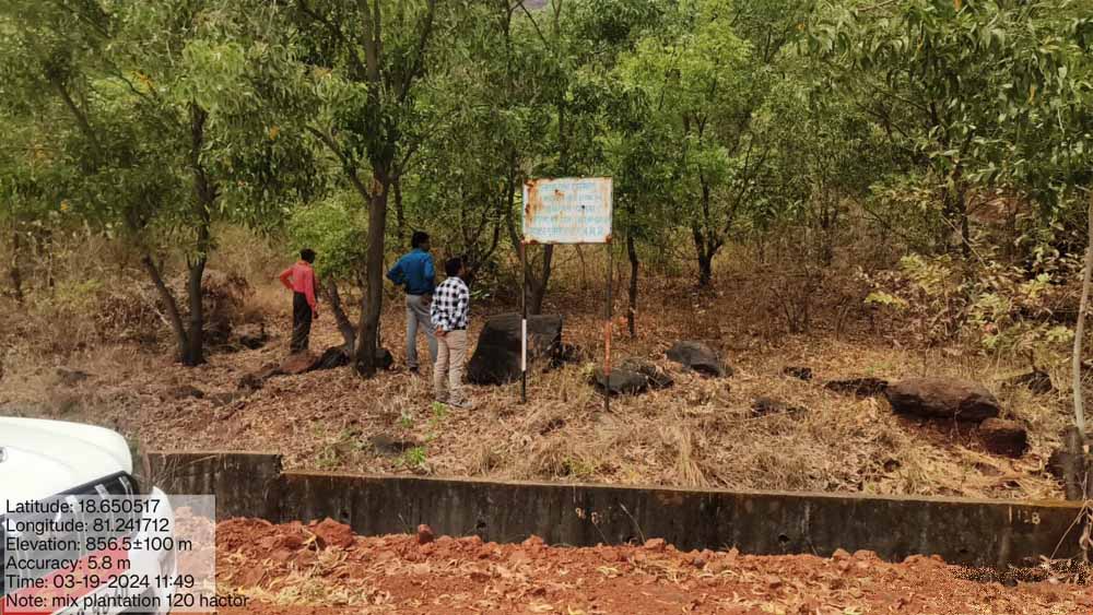 पर्यावरण संरक्षण की दिशा में बड़ा कदम, 50 हजार पौधारोपण को लेकर अनुबंध