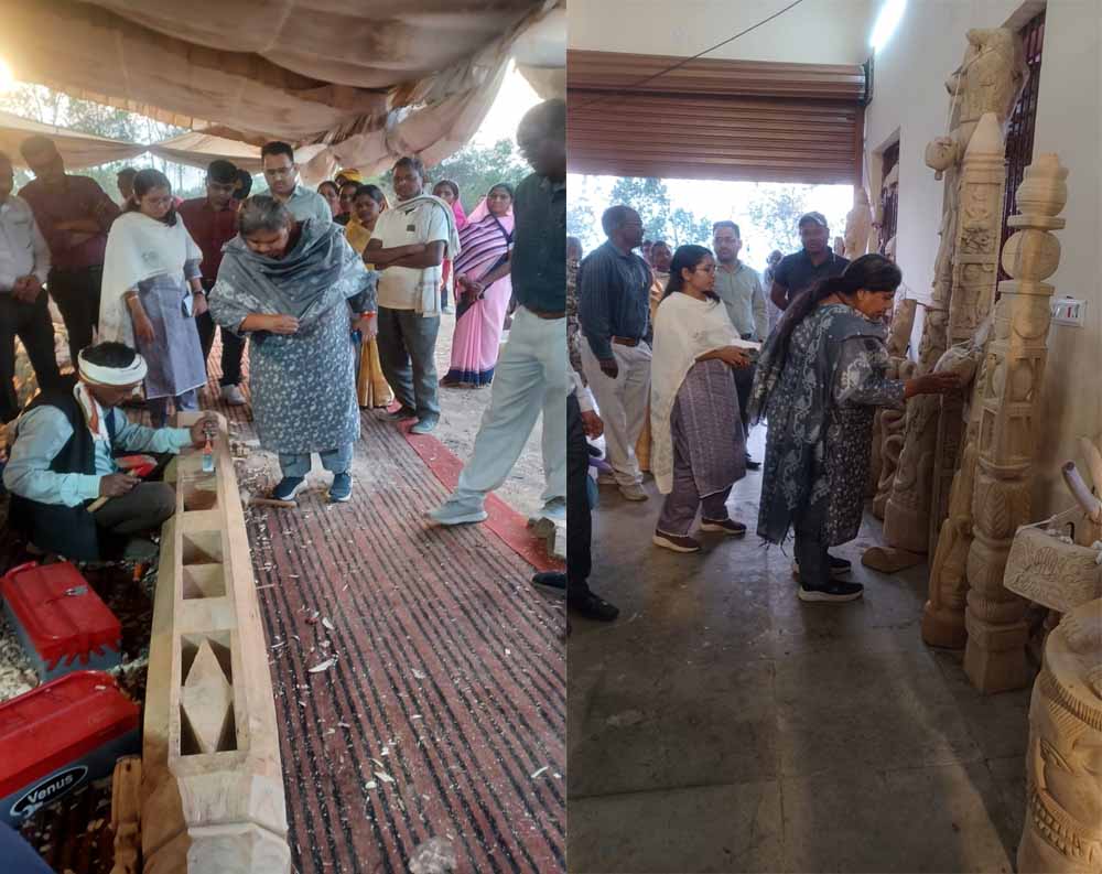 लकड़ी की कारीगरी से आत्मनिर्भरता की राह, कमिश्नर ने जमीनी हकीकत जानी