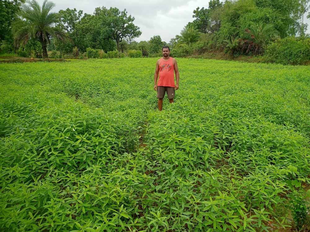 किसान सुरेश कुमार नाग बने ‘भुइयां के भगवान’, सम्मान से नवाज़े गए