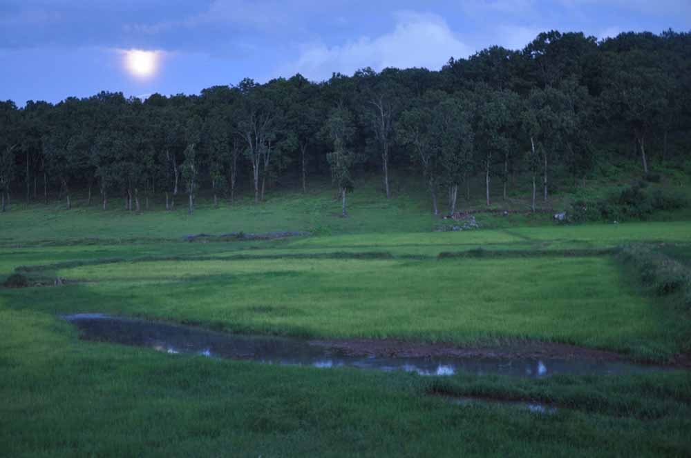 15 फरवरी को संस्कृति मंत्री श्री राजेश अग्रवाल के मुख्य आतिथ्य में होगा कार्यक्रम का समापन
