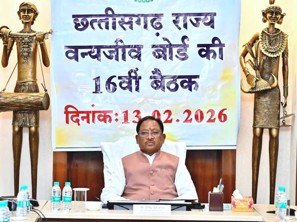 मुख्यमंत्री विष्णु देव साय की अध्यक्षता में छत्तीसगढ़ राज्य वन्य जीव बोर्ड की बैठक संपन्न