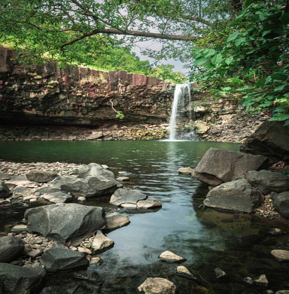 प्रकृति की गोद में खिवनी अभयारण्य, पर्यटकों को कर रहा आकर्षित