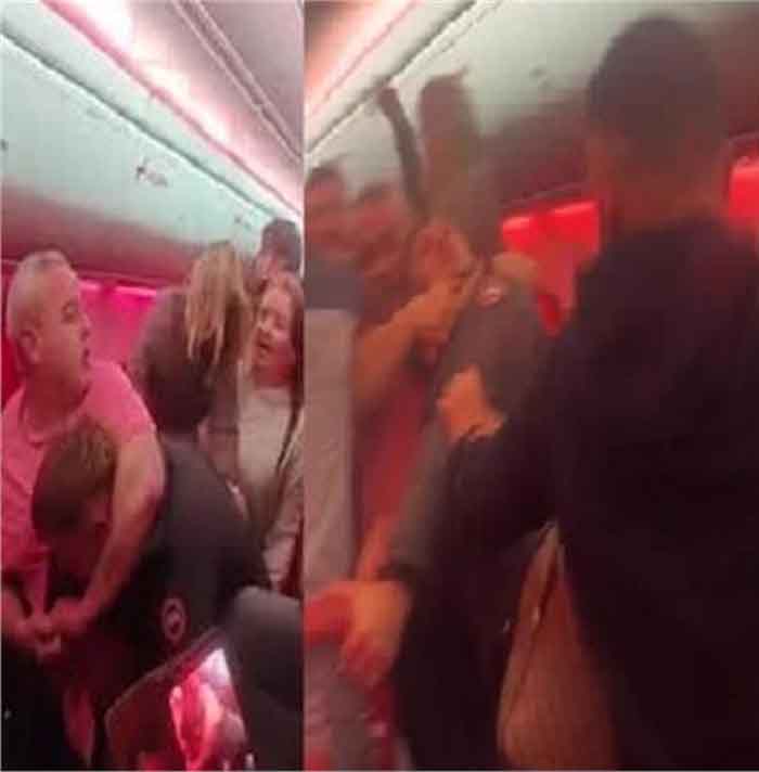 हवा में हिंसा! 30 हजार फुट पर यात्रियों की खून-खराबे वाली लड़ाई, अचानक करानी पड़ी लैंडिंग