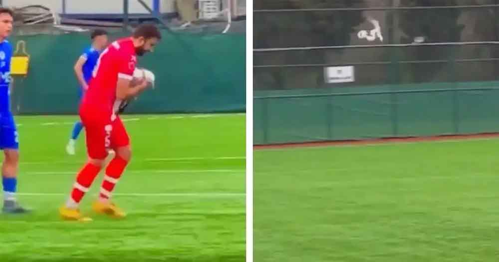 गेंद लगते ही गिरा पक्षी, खिलाड़ी ने तुरंत किया CPR, दिल छू लेने वाला वीडियो वायरल