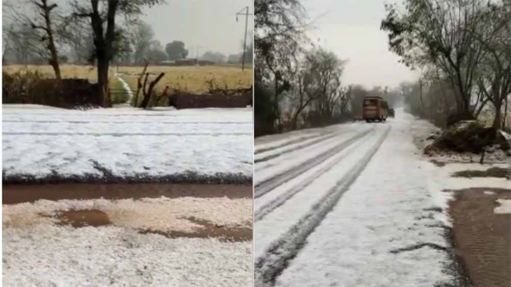 भारी ओलावृष्टि से ग्वालियर में तबाही: 4 इंच बर्फ जमी, फसलों को भारी नुकसान