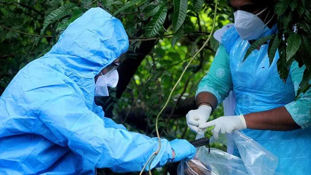 निपाह अलर्ट के बीच पहली मौत, टेस्ट निगेटिव लेकिन हार्ट अटैक से नर्स का निधन