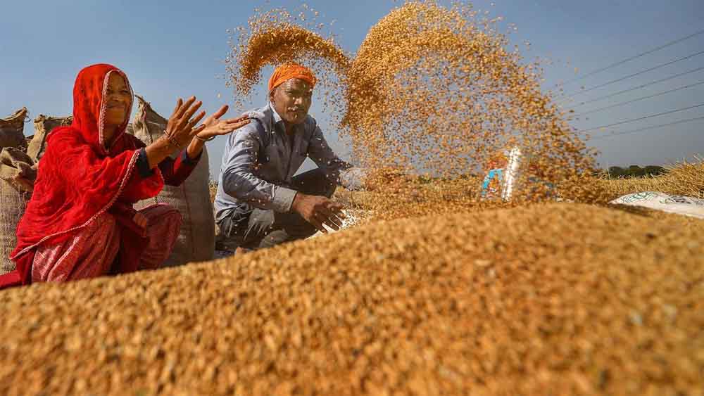 20 हजार से अधिक किसानों ने समर्थन मूल्य पर गेहूँ उपार्जन के लिये कराया पंजीयन : मंत्री राजपूत