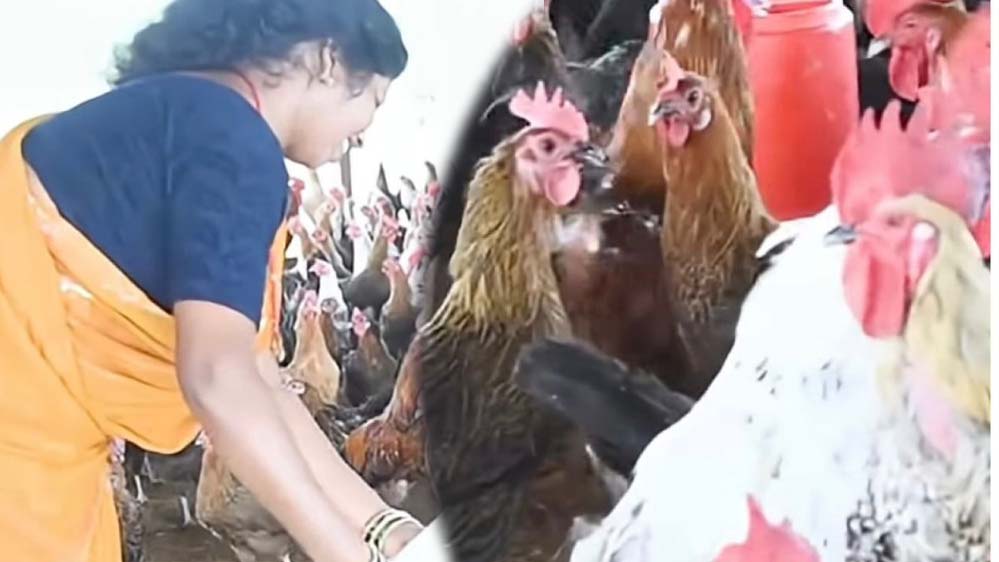 चर्रा की योगेश्वरी देवांगन की सफलता कहानी, आजीविका मिशन से मिला महिला सशक्तिकरण का रास्ता