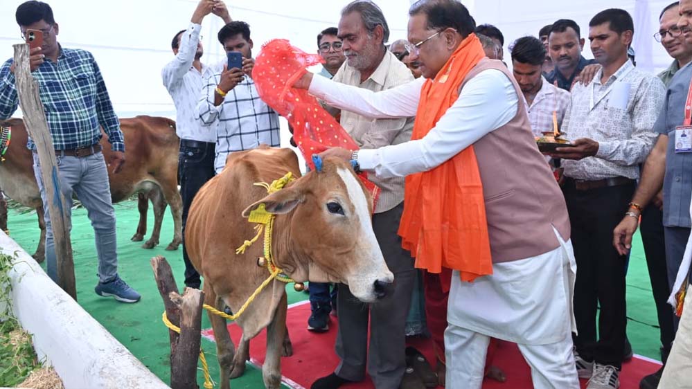 राज्य के सभी गौधाम “सुरभि गौधाम” कहलाएंगे : मुख्यमंत्री ने दी स्वीकृति