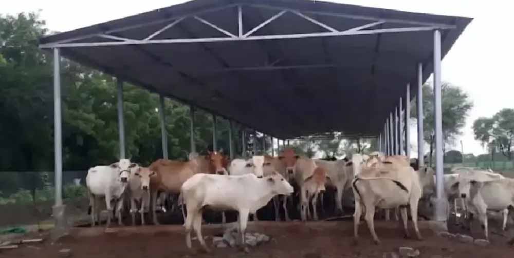 घुमंतू और निराश्रित गौवंश के संरक्षण के लिए राज्य में 1460 गौधाम स्थापित करने का लक्ष्य