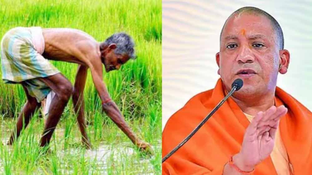 योगी सरकार में डिजिटल क्रॉप सर्वे को मिली रफ्तार, खरीफ और रबी दोनों सीजन में बड़े पैमाने पर सर्वे पूरा