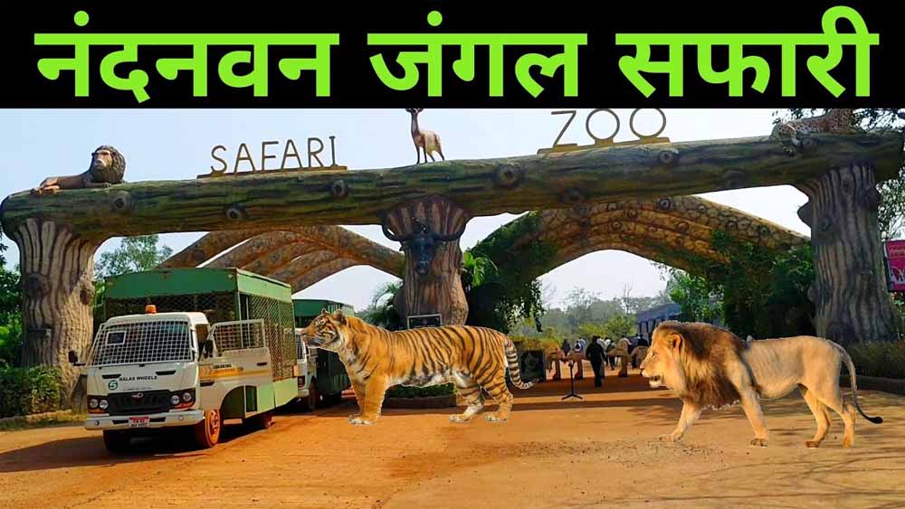 पर्यटकों के लिए जरूरी सूचना: होली के दौरान 3 मार्च से जंगल सफारी रहेगी बंद