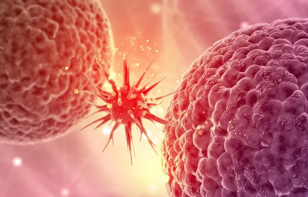 कैंसर का बढ़ता कहर: 2040 तक संकट गहराएगा, हर दो मिनट में एक व्यक्ति चपेट में