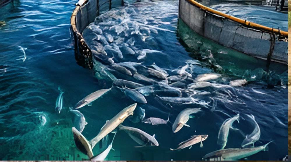 मिलियन लीटर से ज्यादा गंदा पानी किया जा रहा ट्रीट नदियों की स्वच्छता में योगी सरकार ने रचा नया अध्याय, 2035 तक 100% अपशिष्ट जल उपयोग का लक्ष्य