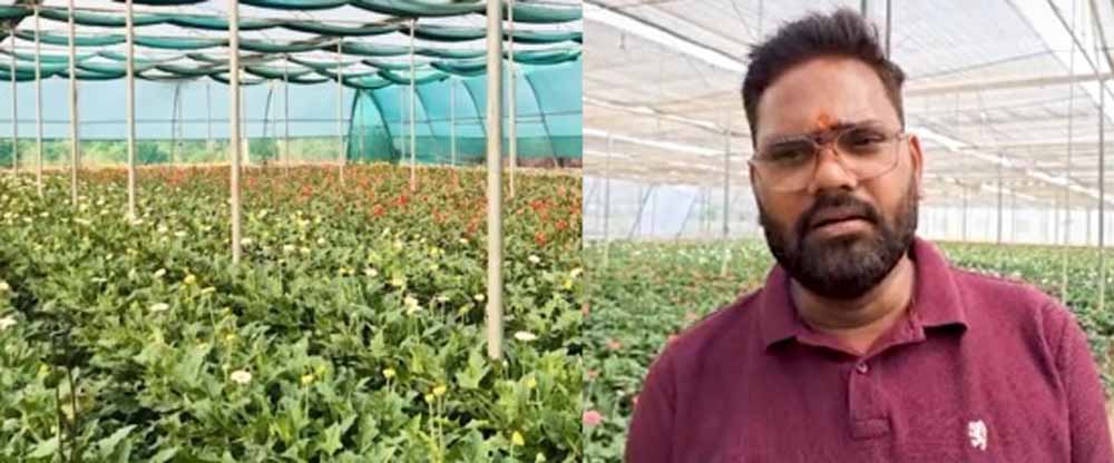 Government Offers Incentives with a 50% Subsidy; Floriculture Forges a New Identity for Farmers