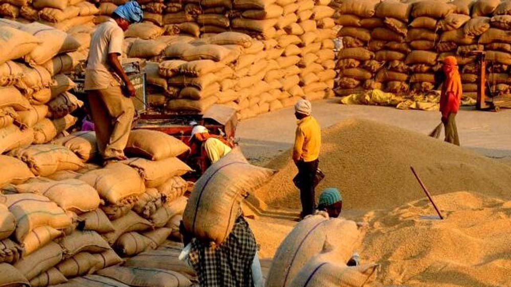 धान खरीद में छत्तीसगढ़ का डेटा-संचालित एआई मॉडल, तकनीकी नवाचार से बनी नई मिसाल