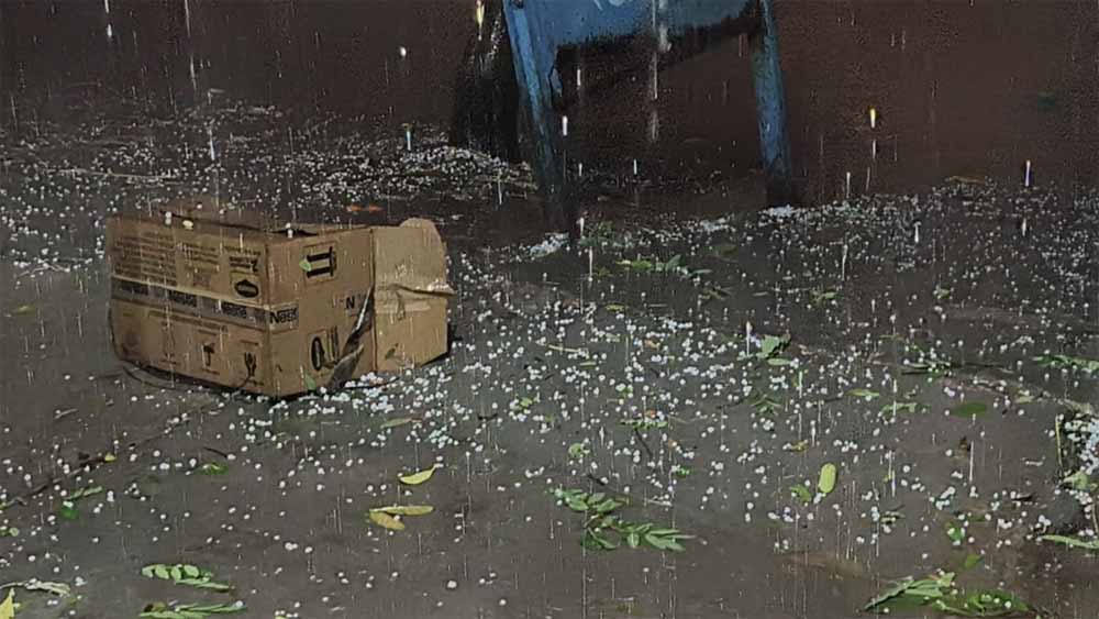 मौसम ने ली करवट, दिल्ली-NCR में तेज हवाओं के साथ बारिश; रेवाड़ी में ओलावृष्टि