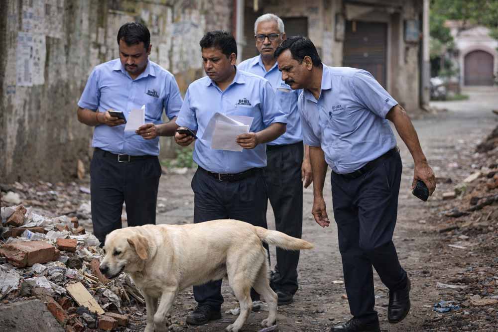 कुत्ते की तलाश में 8 दिन की छुट्टी! MP में भेल कर्मचारी के अनोखे कदम से अफसर भी हैरान