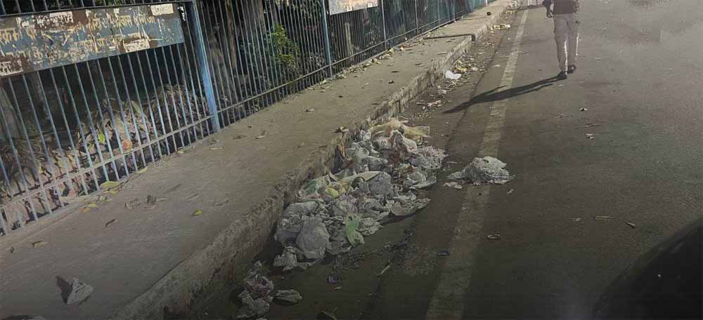 326 सफाईकर्मी ड्यूटी पर, बावजूद इसके भोपाल के कई बाजारों में साफ-सफाई नदारद