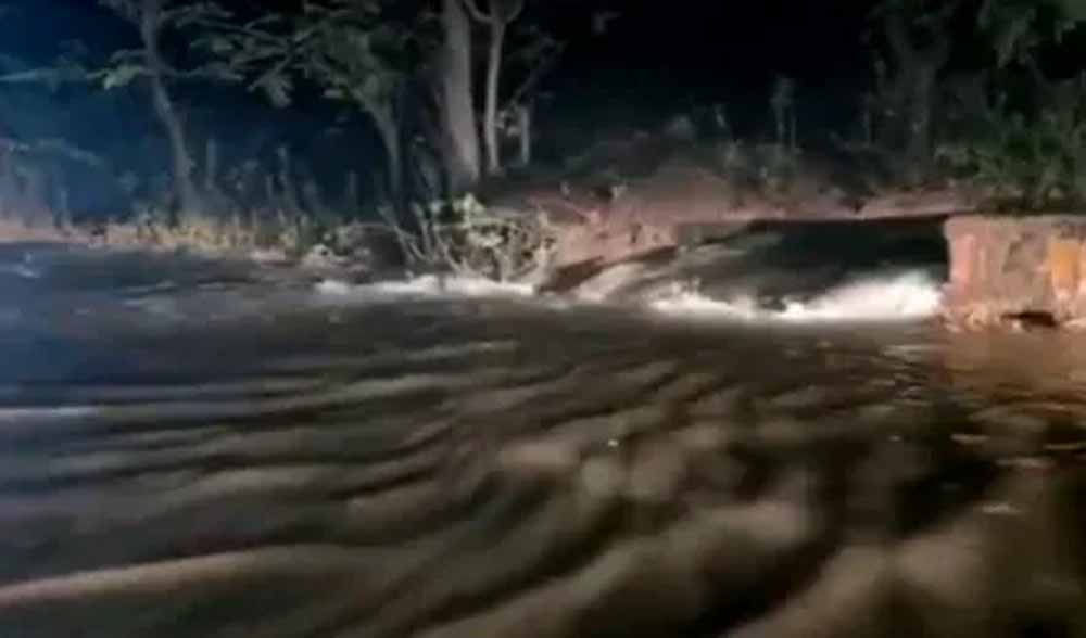 बिलासपुर में भारी तबाही: डैम का गेट टूटने से बाढ़, हाईवे और खेत दोनों पानी में डूबे