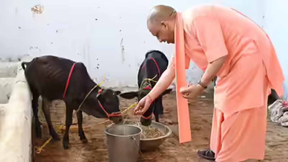 योगी सरकार ने गोसेवा और गो संरक्षण को बनाया ग्रामीण समृद्धि का जरिया